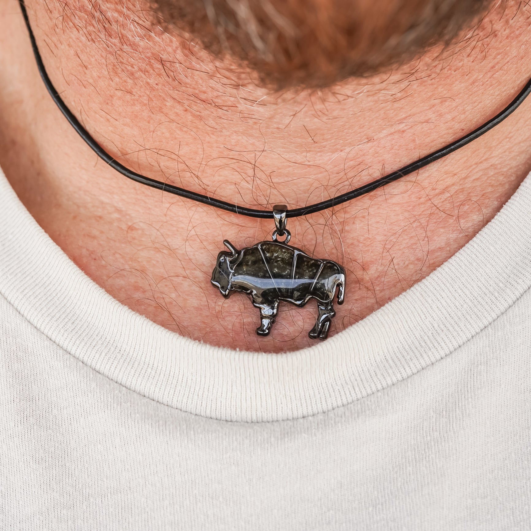 The Bison